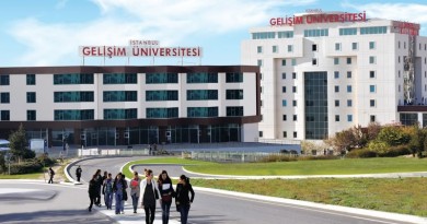 Gelişim Üniversitesi Gelişim Üniversitesi