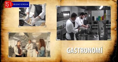 Gastronomi Gastronomi