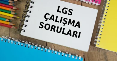 LGS Çalışma Soruları
