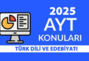 2025 AYT Türk Dili ve Edebiyatı Konuları ve Soru Dağılımı