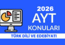 2026 AYT Türk Dili ve Edebiyatı Konuları ve Soru Dağılımı
